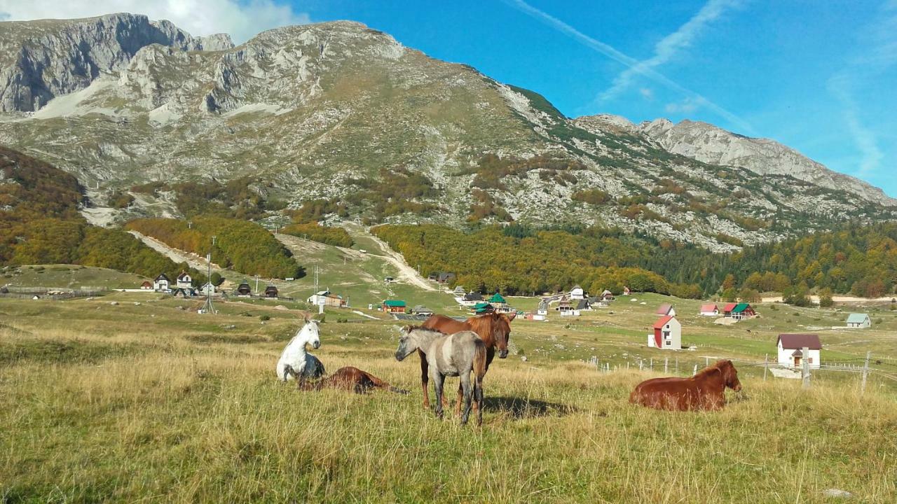 Family Farm Apartments Zabljak  Bagian luar foto